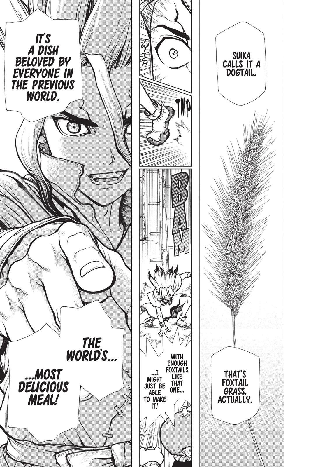 Read Dr STONE Manga Online