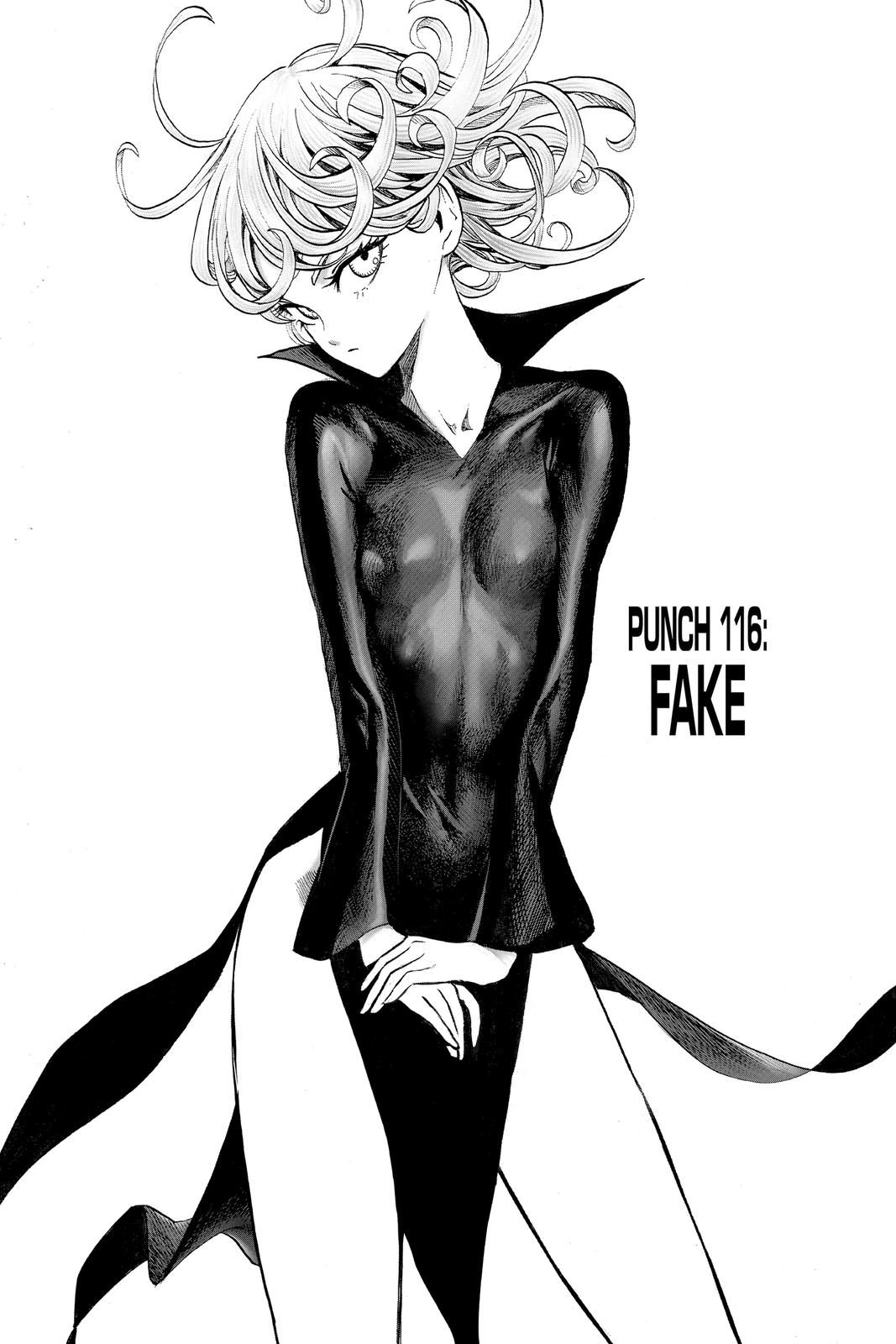 Read One Punch Man Manga Online
