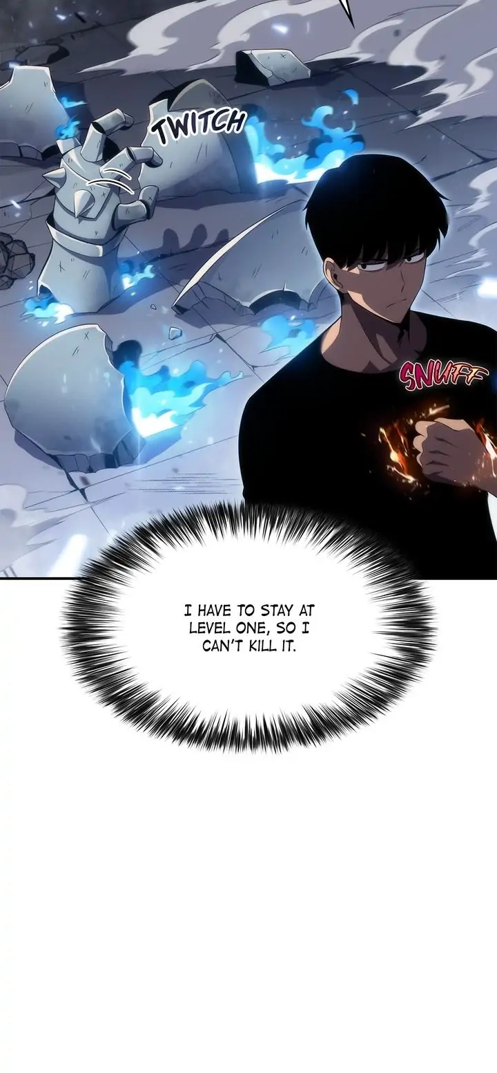 Read Solo Max Level Newbie Manga Online
