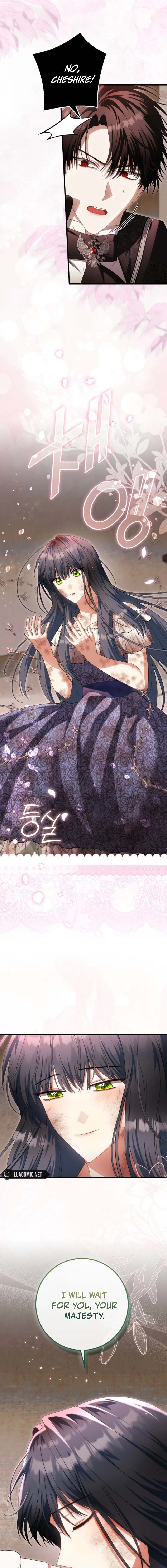 Read The Baby Fairy is a Villain Manga Online