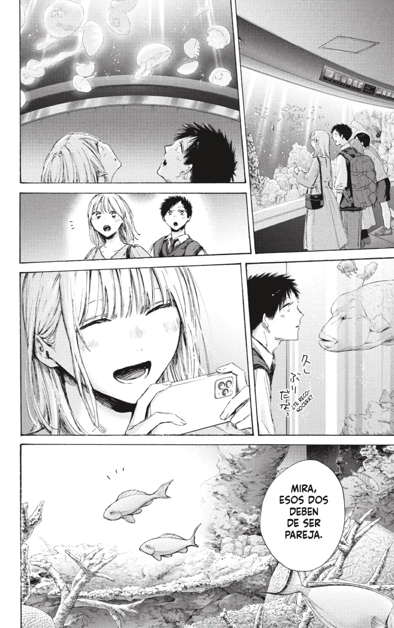 Read Blue Box ES Manga Online