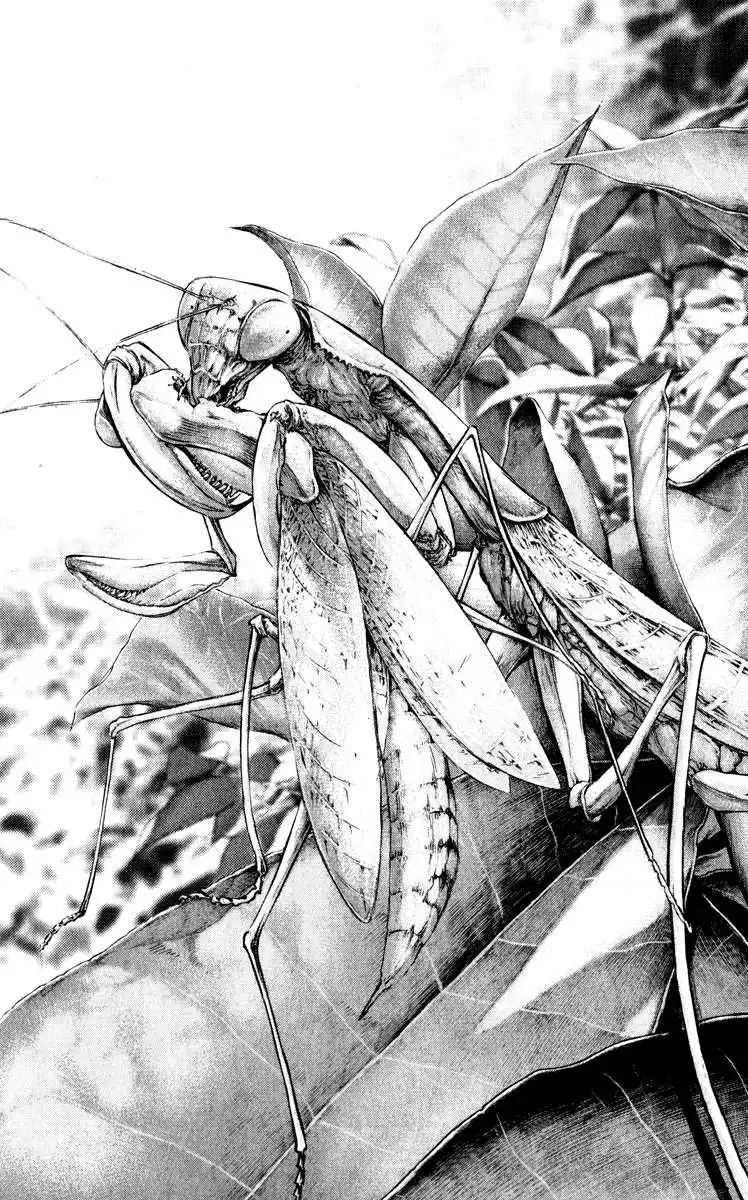 Read Kokou no Hito ES Manga Online