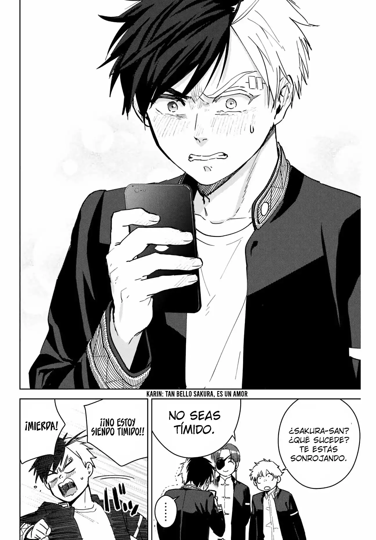 Read WIND BREAKER ES Manga Online