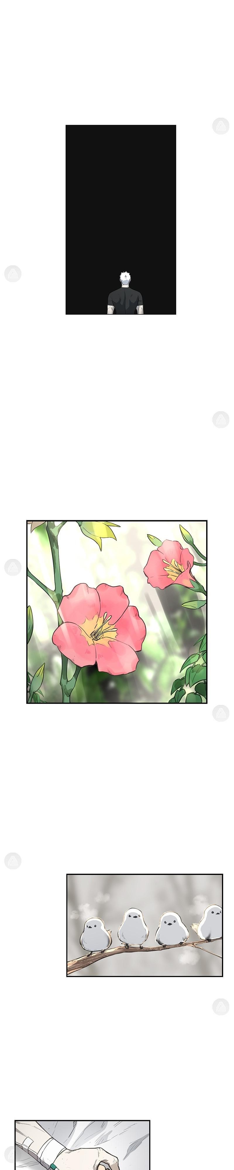 Read The Boxer FR Manga Online